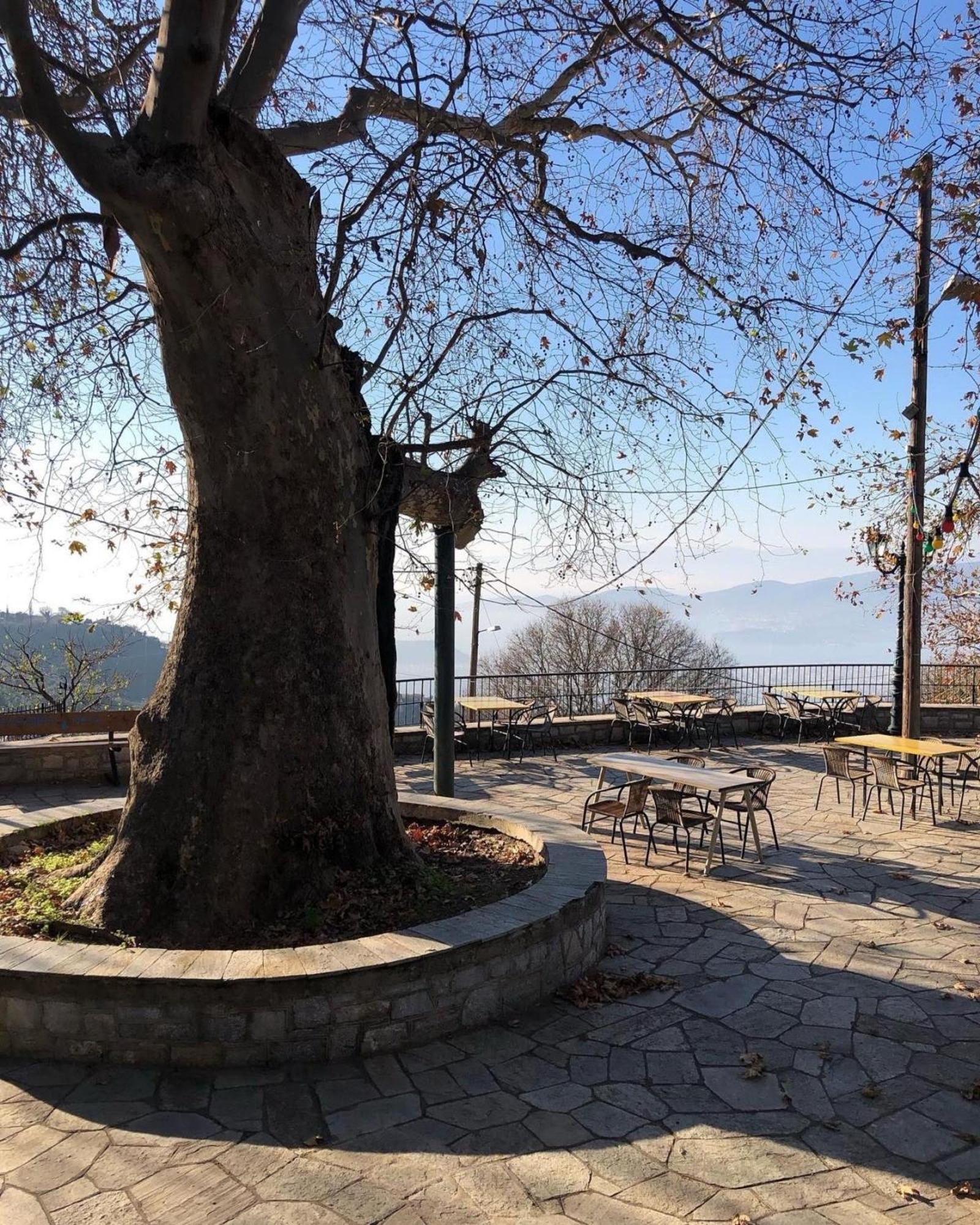 Stagiates Guest House At Pelion بورتاريا المظهر الخارجي الصورة